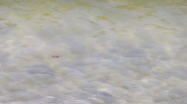 Güneş ışığı hafifçe hareket eden suyu yansıtıyor