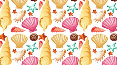 Deniz kabukları ve deniz yıldızları canlı, arka planlarını değiştiriyor.