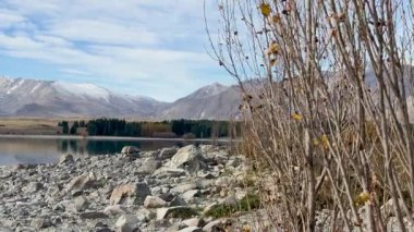 Yeni Zelanda, Canterbury 'deki açık gökyüzünün altında, kar kaplı dağlar ve kayalık kıyı şeridi ile Tekapo Gölü' nün sakin manzarası