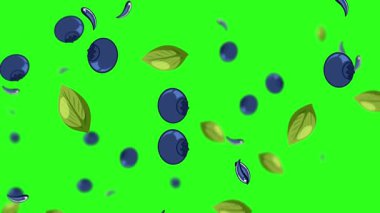 Yaban mersini ve yapraklar yeşil arkaplana karşı düşüyor