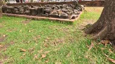 Zamanla bir kaya yığınının ilerleyen görüntüsü