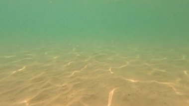 Phuket, Tayland 'daki kumlu okyanus tabanının sakin sualtı manzarası. Yumuşak ışıklandırma ve dingin atmosfer