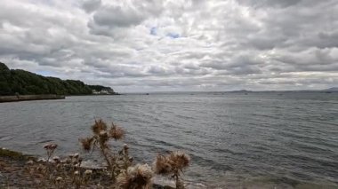 Devedikeni ve bulutlu sakin sahil sahnesi