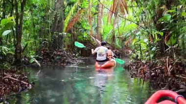 Kano macerasında yemyeşil kanalları keşfetmek