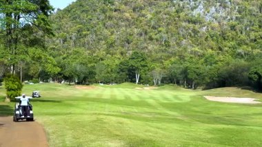 Golf arabaları yemyeşil bir yolda ilerliyor.