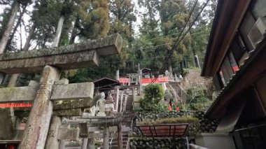 Geleneksel bir Japon tapınağında huzurlu bir gezinti.