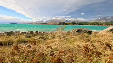 Altın otlar ve dikenli bitkiler, turkuaz bir göl kıyısı boyunca güçlü bir rüzgarda sallanıyor. Kar kaplı dağlar ve arka planda dramatik fırtına bulutları var.
