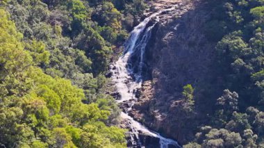 İnsansız hava aracı görüntüleri, yoğun, canlı yağmur ormanları arasında doğal güzellik ve sükuneti yansıtan çağlayan bir şelale yakalıyor.