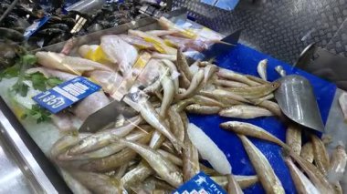 Taze Balık pazarı ekranda