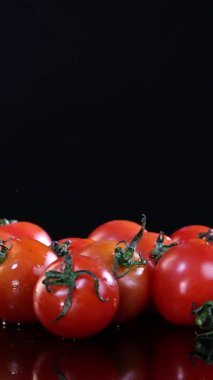 Olgun domateslerden oluşan bir grup, stüdyo ışıkları altında parlak siyah bir yüzey üzerinde yavaş yavaş döner, canlı renklerini ve doğal dokusunu dramatik yansımalarla vurgular.