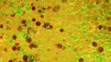 Bir deney şişesinde renkli damlacıklar ile canlı kimyasal reaksiyon, parlak ışık altında dinamik hareket ve ayrışma sergiliyor