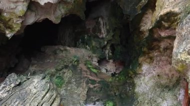 Turistler renkli bir mağara tapınağı keşfediyorlar.