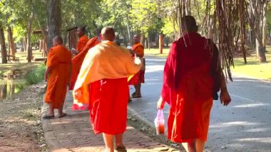 Keşişler huzurlu bir park yolunda geziniyor.