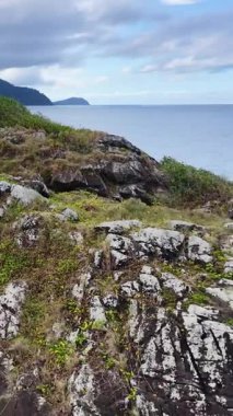 İnsansız hava aracı kameraları engebeli kayalık kıyı şeridinde süzülüyor ve Cape Tribulation yakınlarında berrak mavi deniz, yemyeşil ve uzak burunlar gün ışığı altında