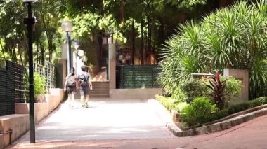 İki insan, yemyeşil bir parkta geziniyor.