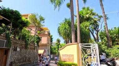 İtalya, Sorrento 'da palmiye ağaçları ve binalar