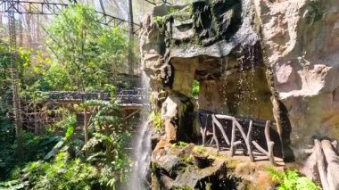 Bereketli yeşilliklerle çevrili manzaralı şelale