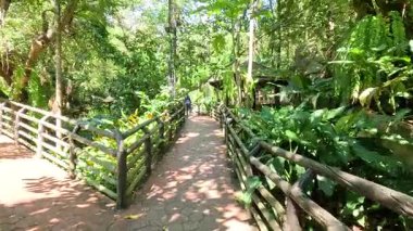 Ziyaretçiler hayvanat bahçesindeki yemyeşil yolları keşfediyorlar.