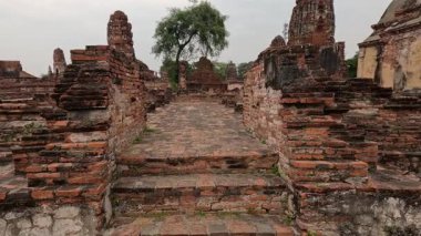 Yıpranmış tapınak harabelerinde düzenli bir gezinti.