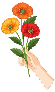 Ayrıntılı yaprakları ve yaprakları olan üç gelinciği tutan bir elin renkli vektör çizimi