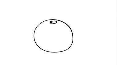 A simple line drawing animation of an orange being sliced into segments over a white background