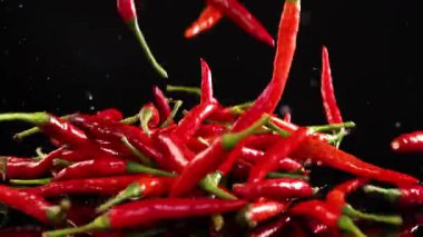 Kırmızı biberler yüzeye dökülüp yerleşiyor.