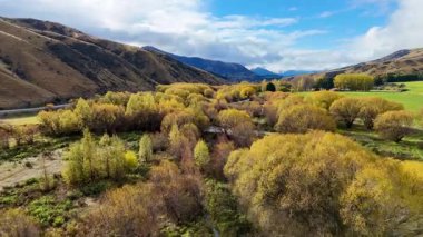 İnsansız hava aracı, altın ağaçlar, dolambaçlı bir dere ve parlak gün ışığı altında yuvarlanan tepelerle dolu canlı bir sonbahar manzarasının üzerinde süzülerek geniş kırsal manzarayı yakalar.