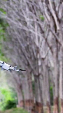 İnsansız hava aracı, kauçuk ağaç plantasyonunda doğal ortamında çevikliğini ve istikrarını göstererek sorunsuzca yol alır.