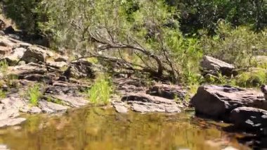 Kayalık arazide akan temiz akarsu