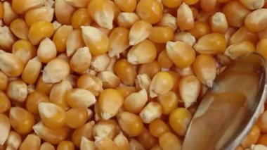 Bir kaşık mısır taneleri arasında hareket eder, onları yakalar ve serbest bırakır. Parlak aydınlatma parlak metal ve altın çekirdekleri vurguluyor