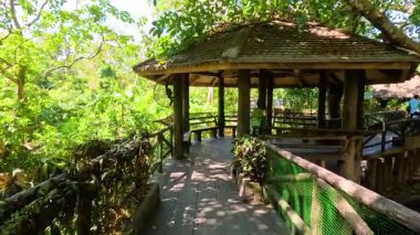 Ziyaretçiler, parlak doğal ışık altında Khao Kheow Açık Hayvanat Bahçesi, Chonburi, Tayland 'daki yemyeşil ve ahşap geçitlerde geziniyorlar.