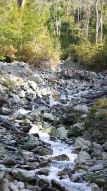 Bereketli bir ormandaki kayalık arazide kayalık akarsuları temizler, sabit kamera ve doğal gün ışığıyla yakalanır, sükuneti ve ıssızlığı çağrıştırır.