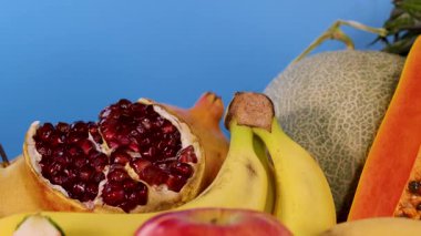 Çeşitli taze meyvelerden oluşan canlı bir karışım.