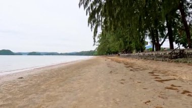 Tayland, Krabi 'de yemyeşil ağaçlarla kaplı sakin kumlu sahil.