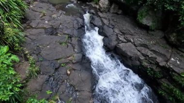 Yükselen şelale yemyeşil ile çevrili.