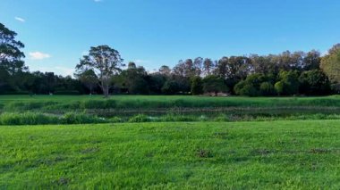 Huzurlu bir sulak alan parkı. Yansıtıcı bir göl, canlı bir yeşillik ve açık mavi gökyüzü.