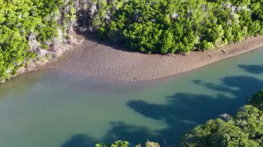 Hava görüntüleri, parlak güneş ışığı altında yoğun yeşil ormanlarla çevrili sakin bir nehir kıvrımını yakalar.