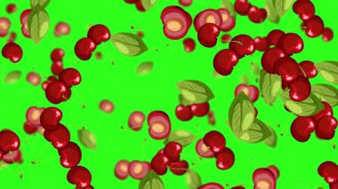 Yeşil zemine düşen kiraz ve yapraklar