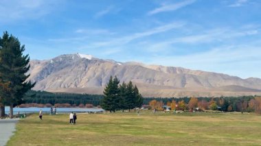 Turistler, açık mavi gökyüzünün altında sonbahar ağaçları ve dağlarla çevrili Tekapo Gölü 'ndeki çimenli bir arazide yürürler.