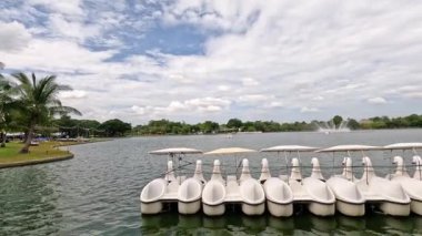 Çeşmeli sakin bir gölde yüzen pedal botları.