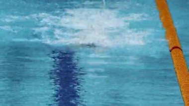 Havuz yarışında serbest yüzen bir sporcu