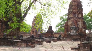 Yeşilliklerle çevrili tarihi tapınak kalıntıları