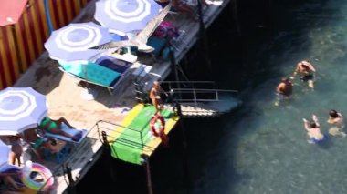 Martılar kumsalda uçuyor ve güneşleniyor.