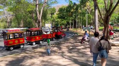 Tramvay yakınlarda ziyaretçilerle hayvanat bahçesinden geçiyor.