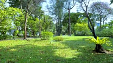 Benjakitti Parkı 'ndaki yemyeşil ve ağaçların sakin manzarası, gün ışığı altında pürüzsüz kamera hareketiyle yakalanır.