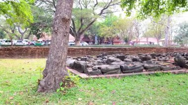 Tarihi parktaki Buda heykelleri ve ağaçlar