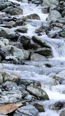 Berrak dağ akıntısı geniş kayaların üzerinden hızla akar. Açık hava ortamında, sabit kamera ve yumuşak, hafif gün ışığını canlı bir detay için yakalar.