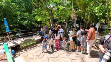 Aileler parlak güneş ışığı altındaki yemyeşil bir hayvanat bahçesi ortamını keşfeder, çalışanlarla etkileşim kurar ve doğal çevreden keyif alırlar.