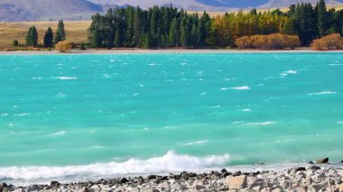 Bir insan eli spor salonunun teçhizat rafından renkli halterlerle metal bir çubuk bağını seçer ve çıkarır. 