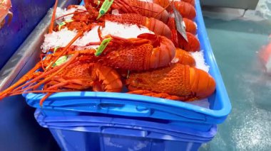 Pazarda buzdaki deniz ürünlerinin çeşitliliği